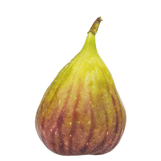 Feigen