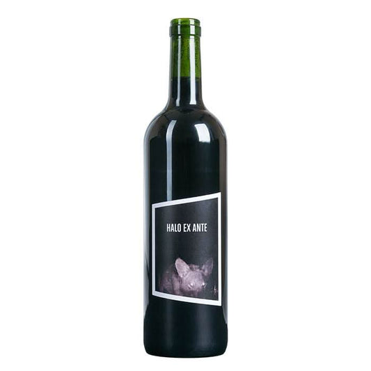 2019 Käfer Bio Halo Ex Ante, Rheinhessen, Deutschland -