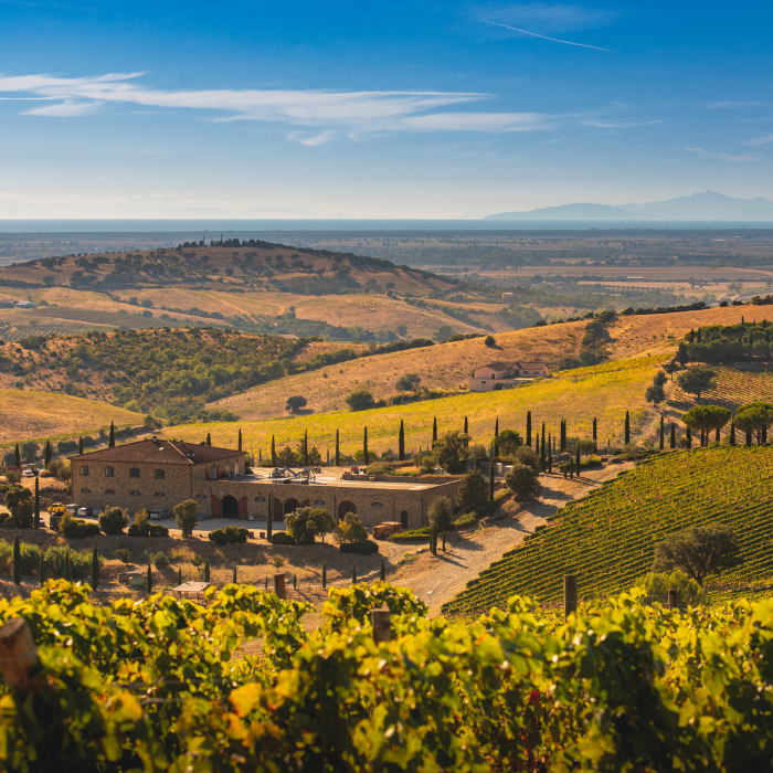 2019 Bio Il Blu, Toskana, Italien