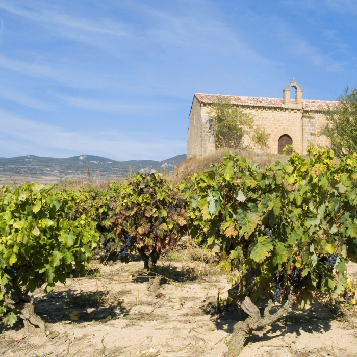 Tarón Blanco, Rioja, Spanien