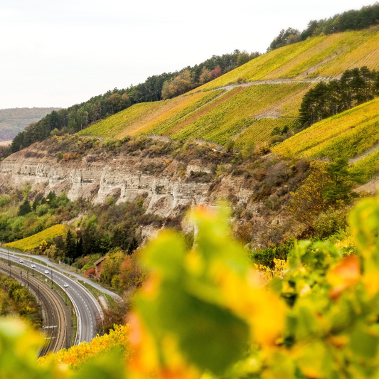 10.06.26 | Beetle Chef's Table Veggie Power mit Weingut am Stein